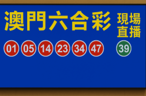 规则理解比预测更重要